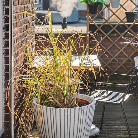 Lightotel Airport 2* Veldhoven